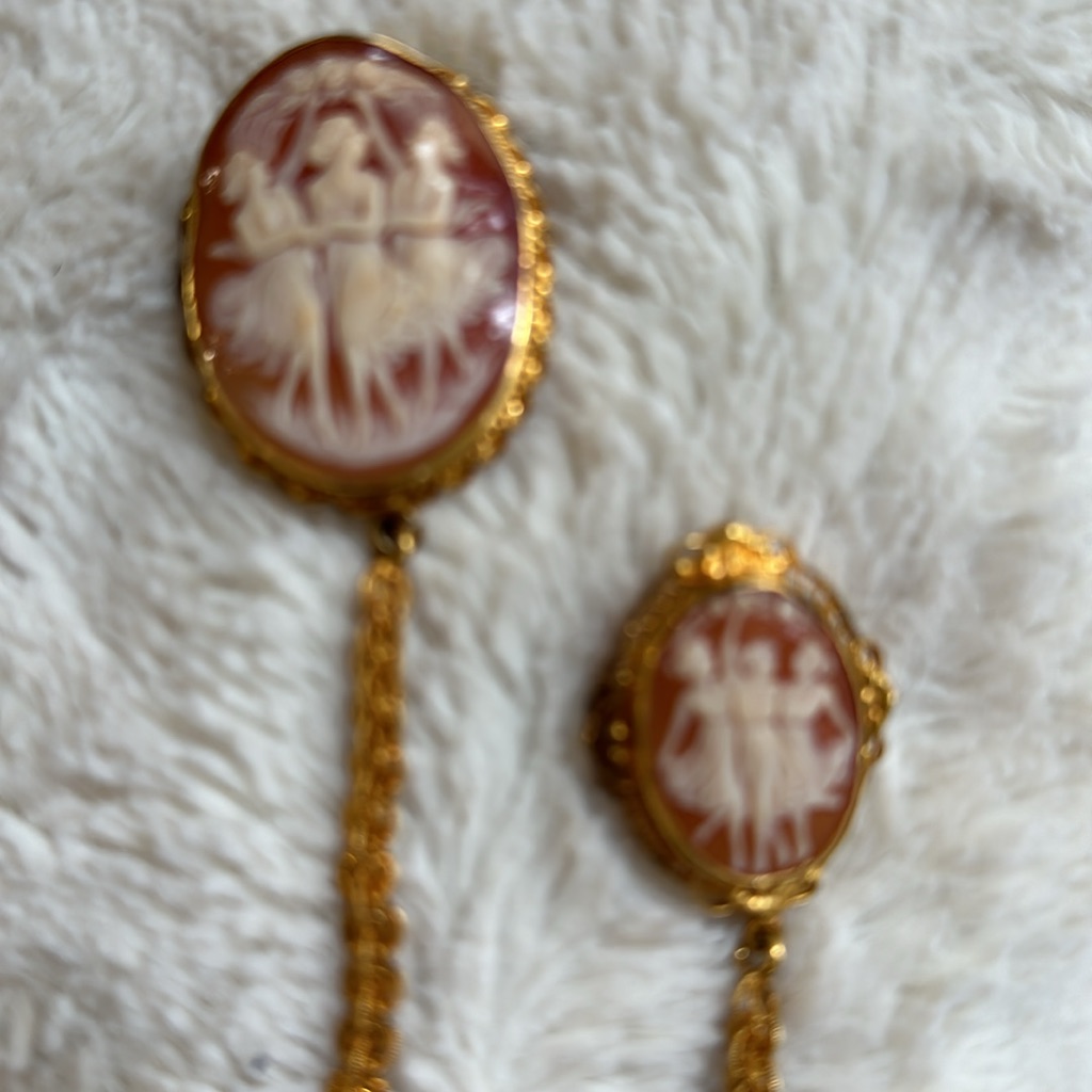 Antique Cameo Pins On Chain